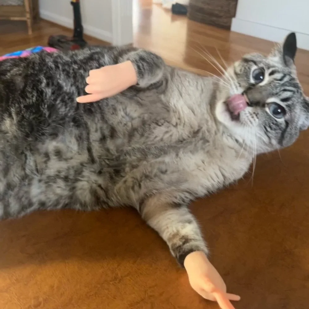 Jill is LIVE! - Picture 9 of 13